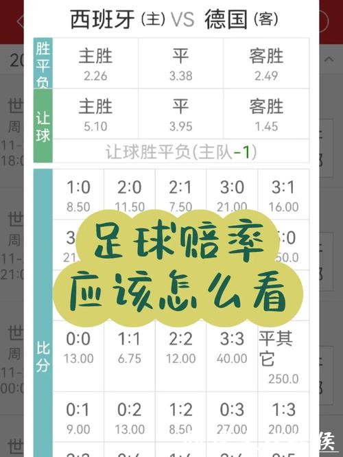 世界杯投注小赔率与高赔率的选择